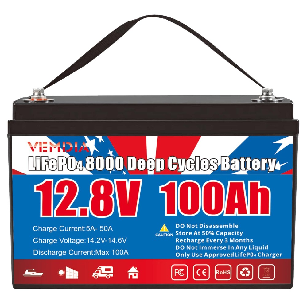 12.8V 100Ah LiFePO4 Battery Bu - Motorcycle Gear Cycle reseña y precio