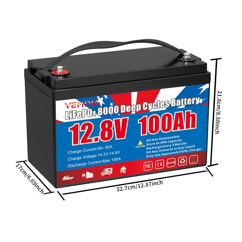 12.8V 100Ah LiFePO4 Battery Bu - Motorcycle Gear Cycle reseña y precio